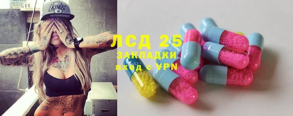 мдпв Ладушкин