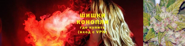 ПСИЛОЦИБИНОВЫЕ ГРИБЫ Куйбышев
