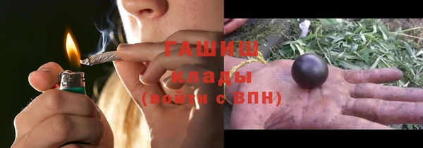 мдпв Ладушкин