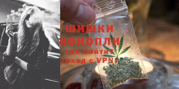мдпв Ладушкин