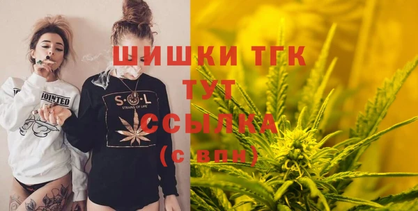 мдпв Ладушкин
